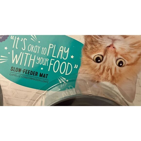Pet Slow Feeder Mat With Bowl Set - Picture 4 of 12